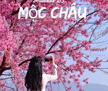 Tour du lịch TP Hồ Chí Minh - Mộc Châu 3N2Đ