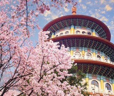 Tour du lịch Đài Loan | Hà Nội - Cao Hùng - Đài Trung - Nam Đầu - Đài Bắc 5 ngày 4 đêm2