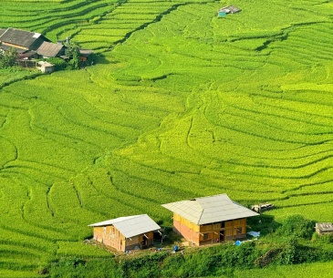 Chuyến du lịch 3 ngày 2 đêm từ TP Vinh đến Sapa