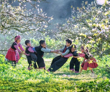 Tour du lịch Hải Phòng - Mộc Châu 2N1Đ
