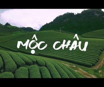 Tour du lịch Hà Nội - Mộc Châu 2 ngày 1 đêm