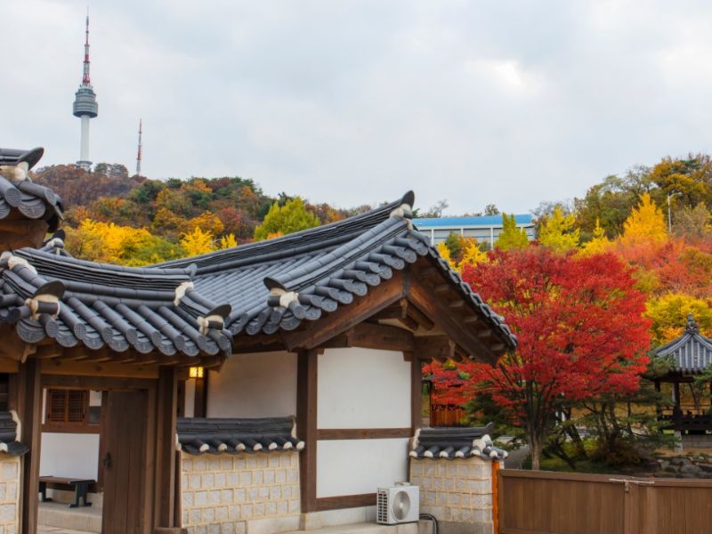 Làng Namsan Hanok: Nơi lưu giữ tinh hoa văn hóa Hàn Quốc