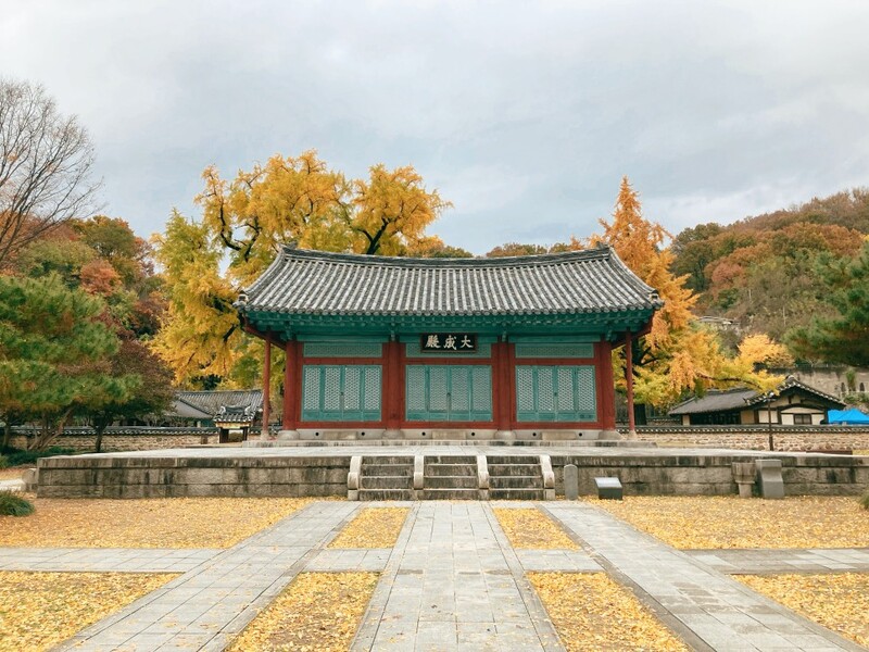 Làng Hanok Jeonju: Hòa quyện giữa hoài niệm và nét đẹp hiện đại