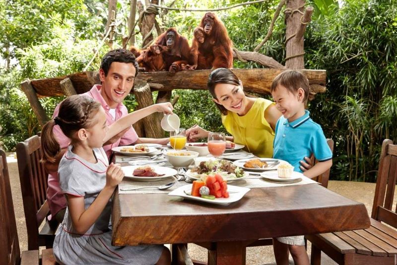  Singapore Zoo: Thiên đường của động vật hoang dã và những bảo vật quốc gia