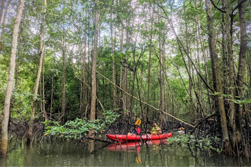 Pulau Ubin – Hành trình khám phá đảo thời gian ngưng đọng ngoài khơi Singapore