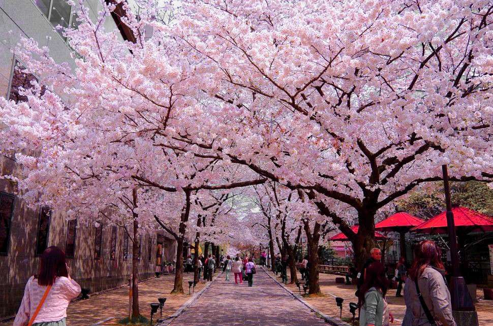 Công viên Ueno, Tokyo