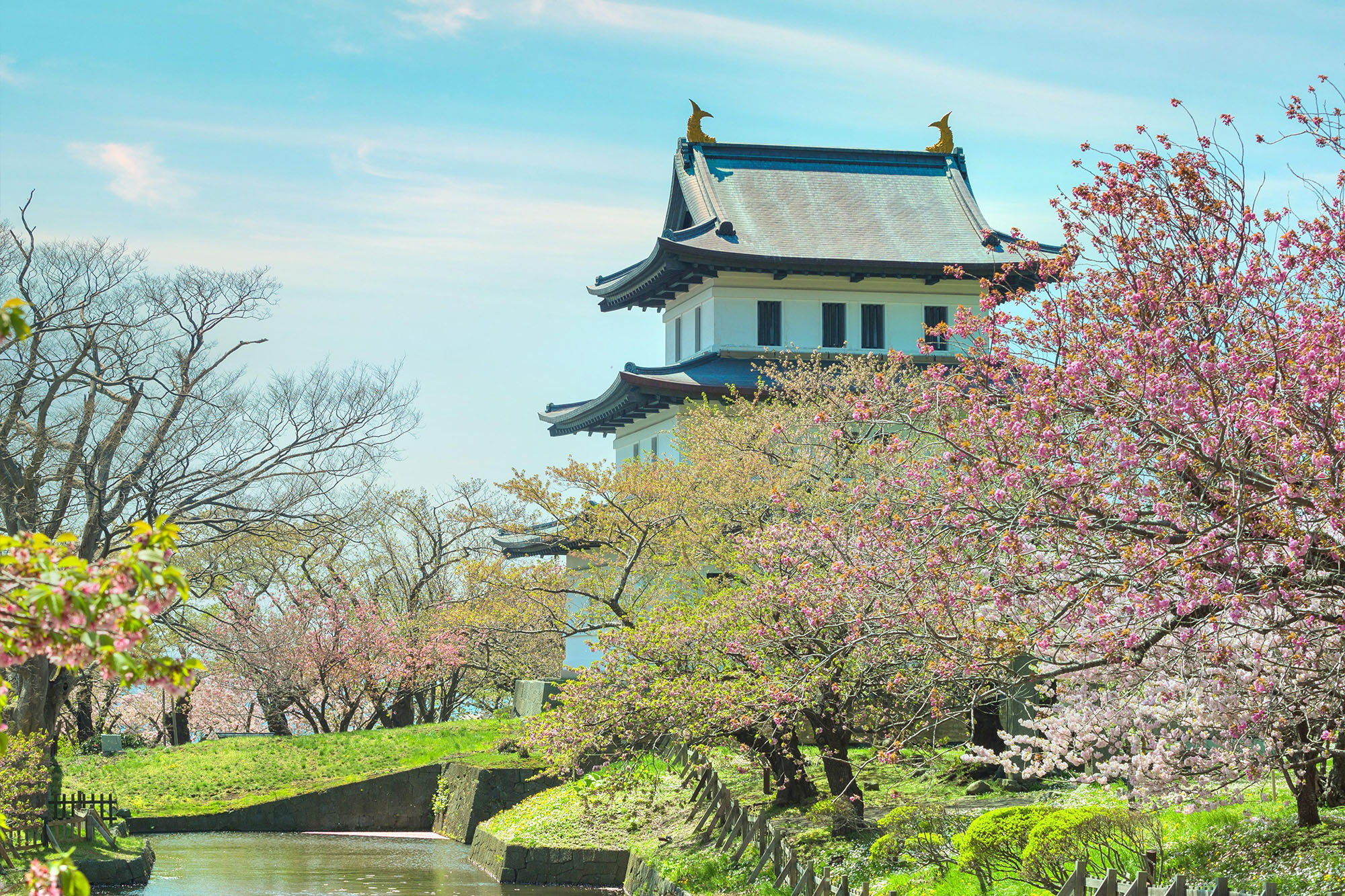 Đường hoa anh đào tại Lâu đài Hirosaki, Aomori