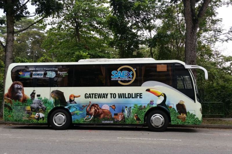  Singapore Zoo: Thiên đường của động vật hoang dã và những bảo vật quốc gia