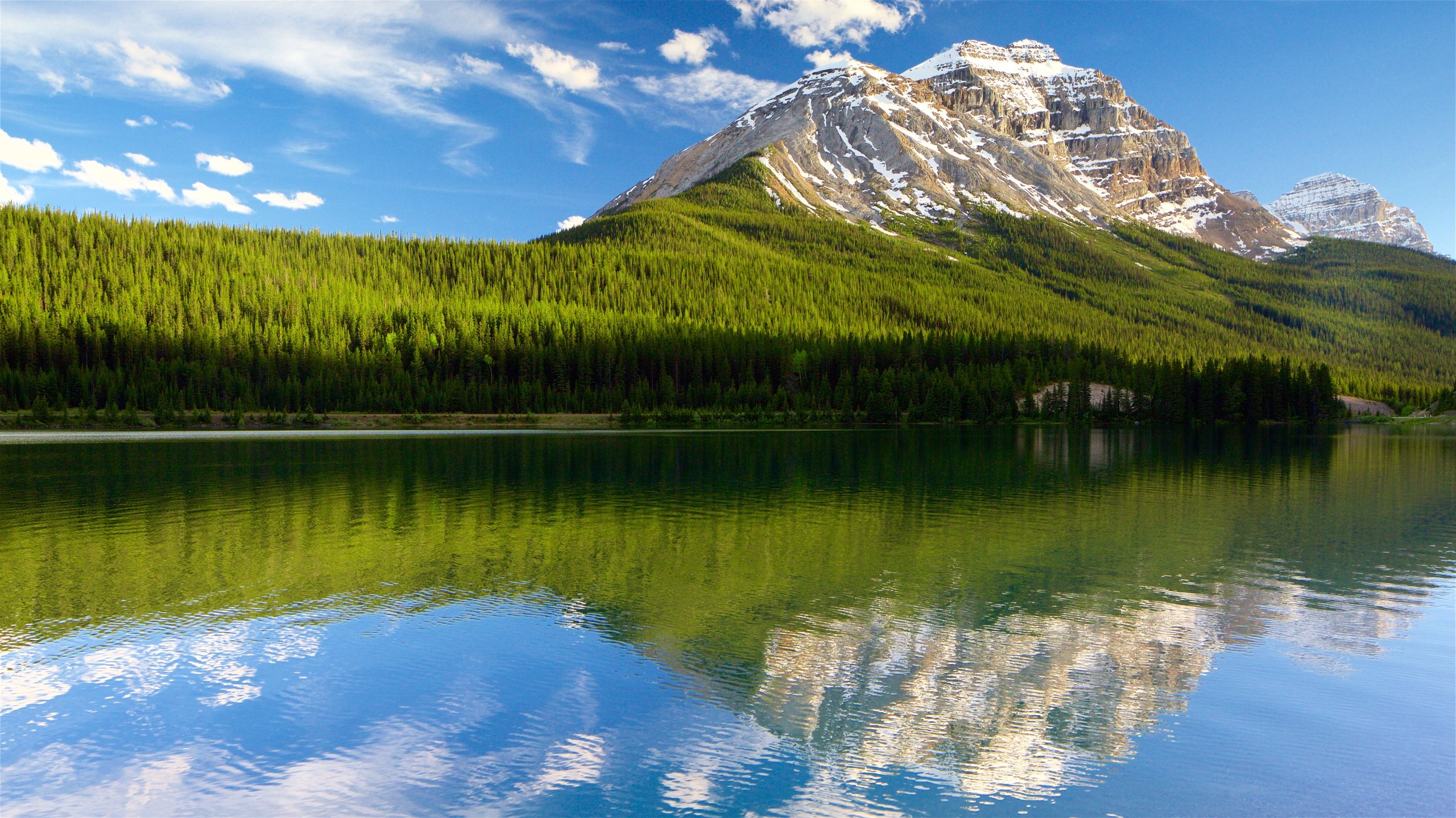 Vườn quốc gia Pacific Rim – Thiên đường ven biển tại British Columbia