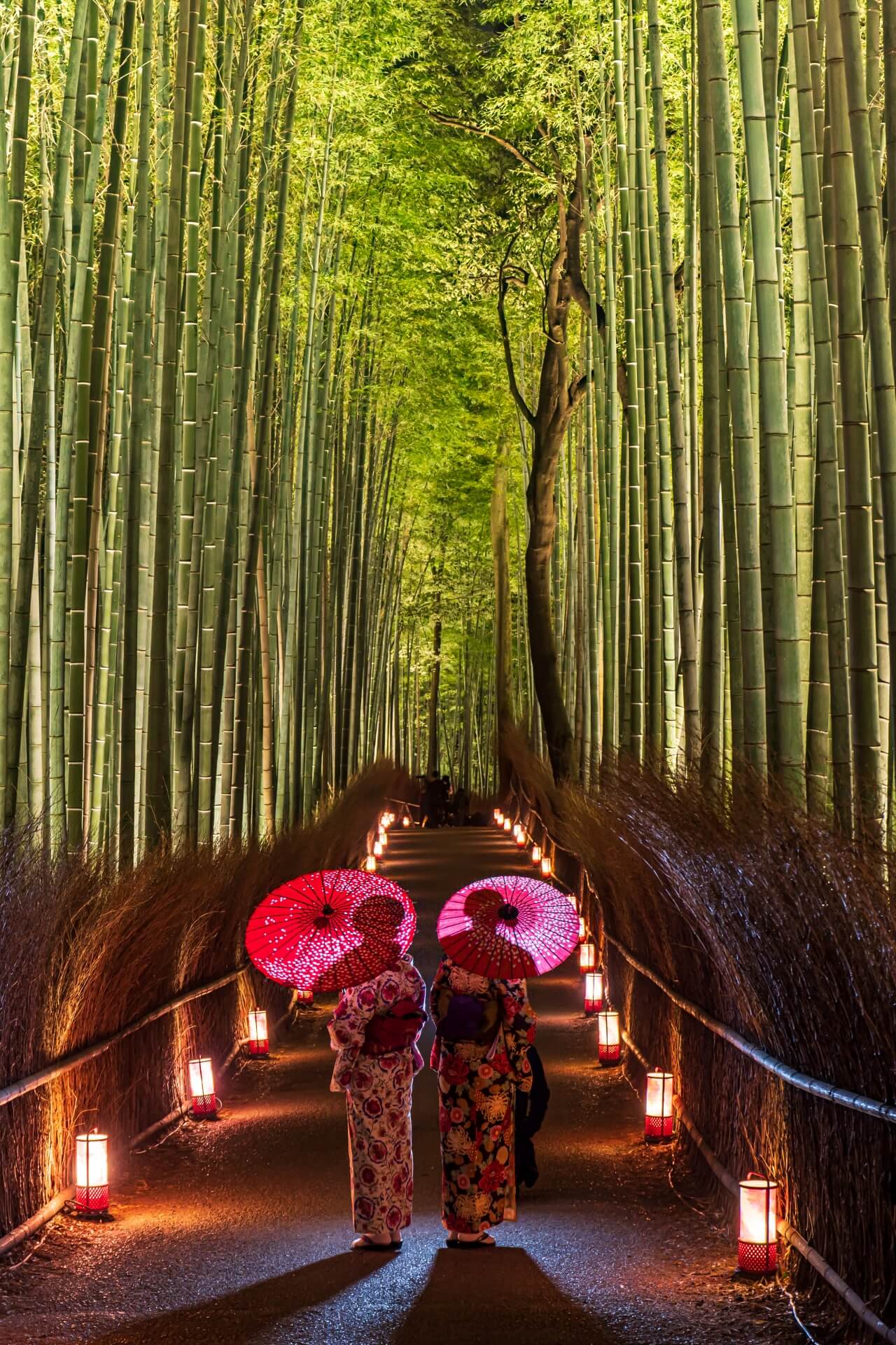 Lạc lối giữa rừng tre Sagano, thiên đường xanh tươi giữa Kyoto