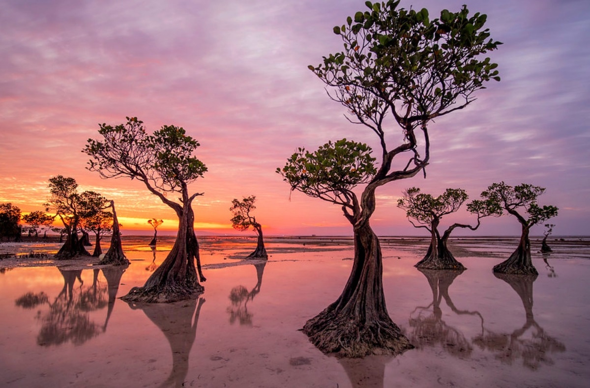 Đảo Sumba – Hoang sơ và bình yên