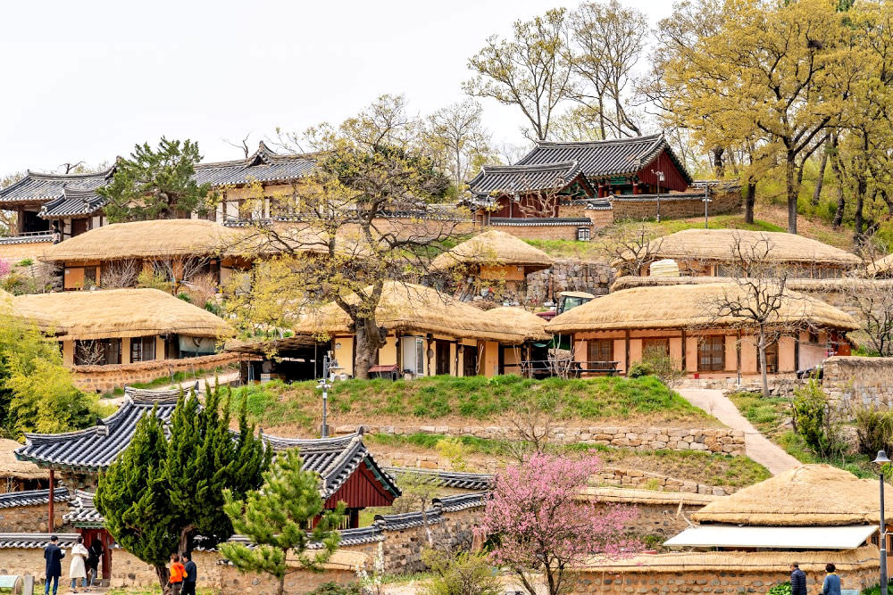 Làng Jeonju Hanok – Thiên đường ẩm thực và văn hóa Hàn Quốc