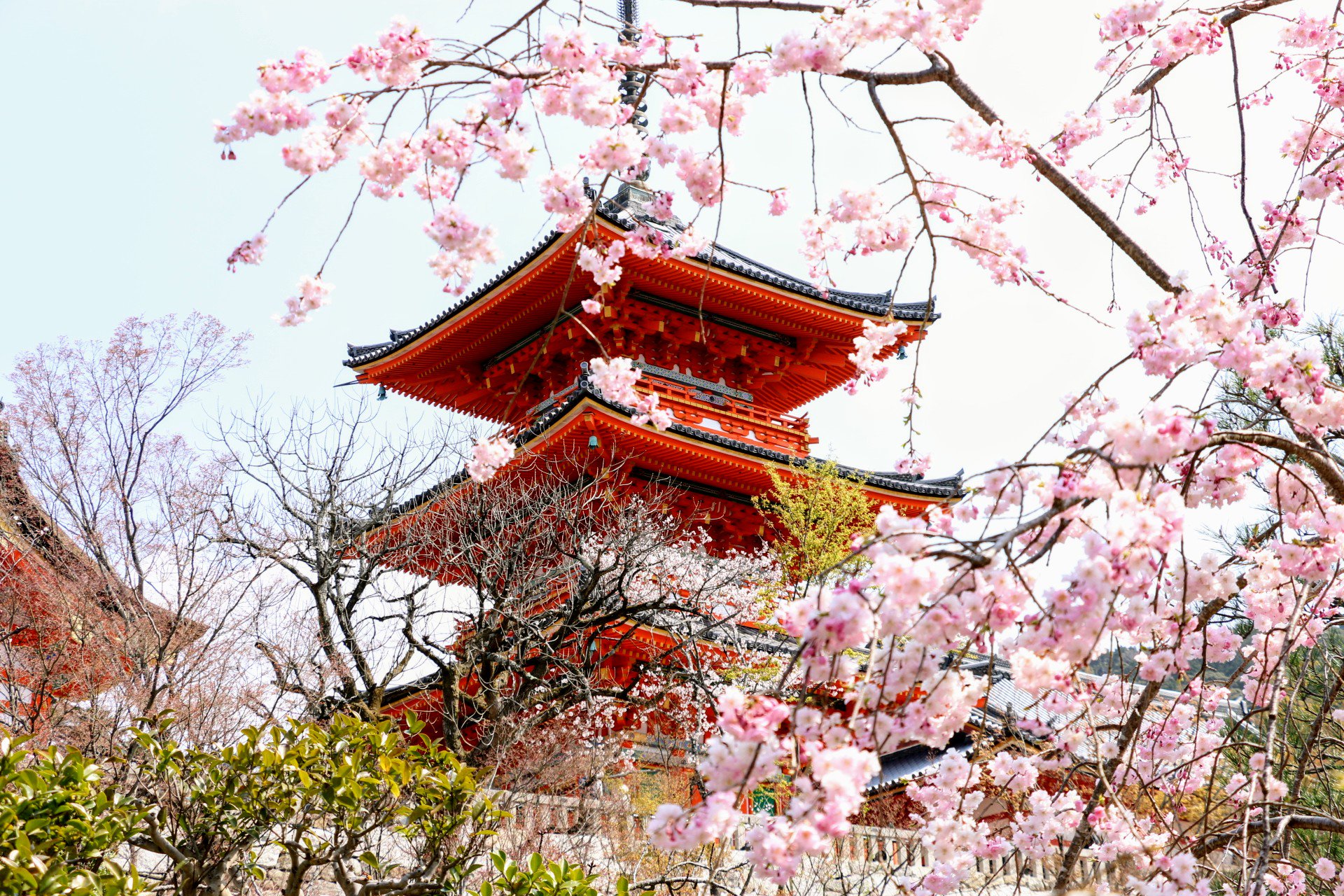 Công Viên Maruyama (Maruyama Park)