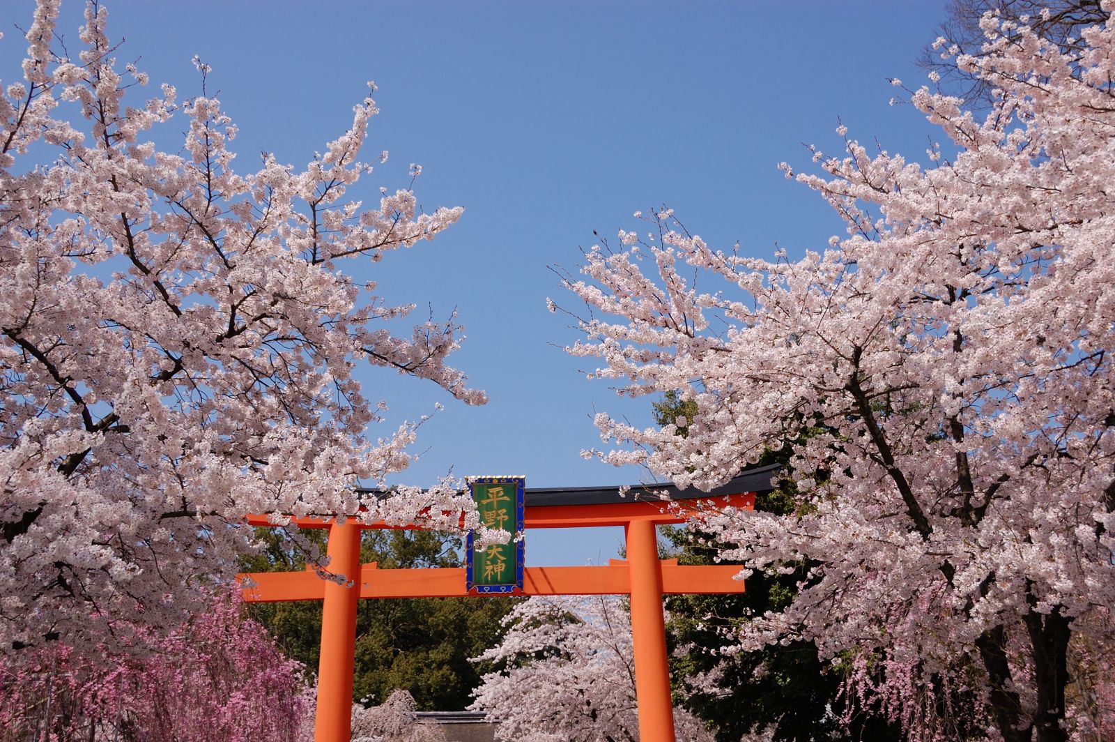 Vườn Bách Thảo Kyoto (Kyoto Botanical Garden)