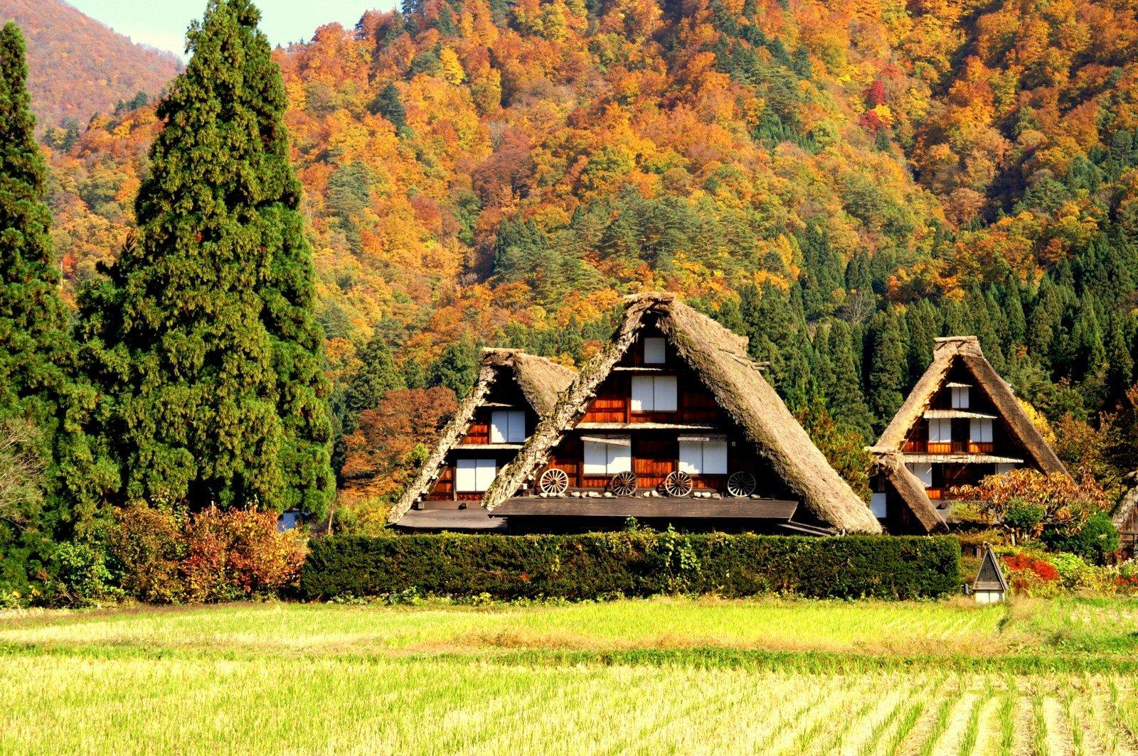 Vẻ Đẹp Của Shirakawa-go