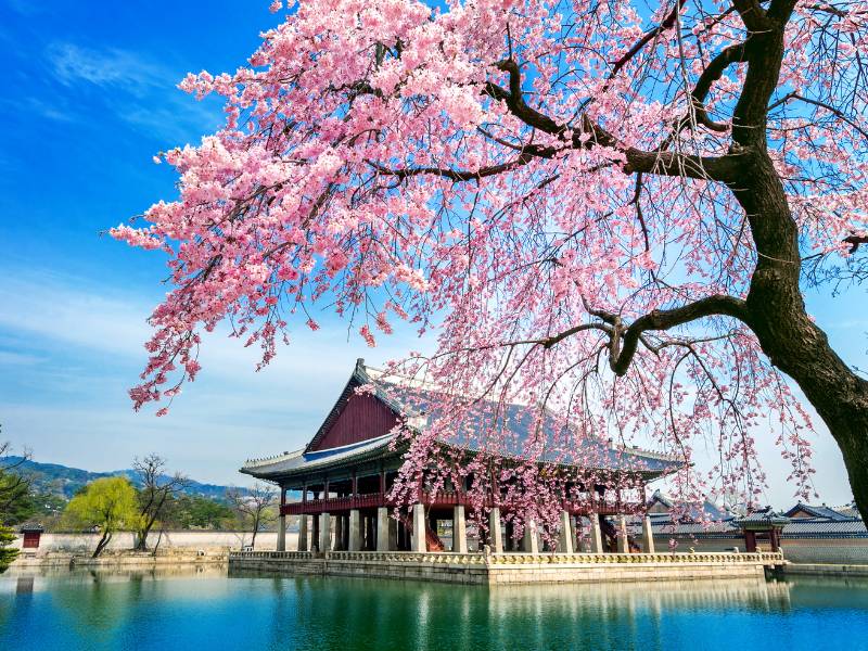 Bờ hồ ở Gyeongju