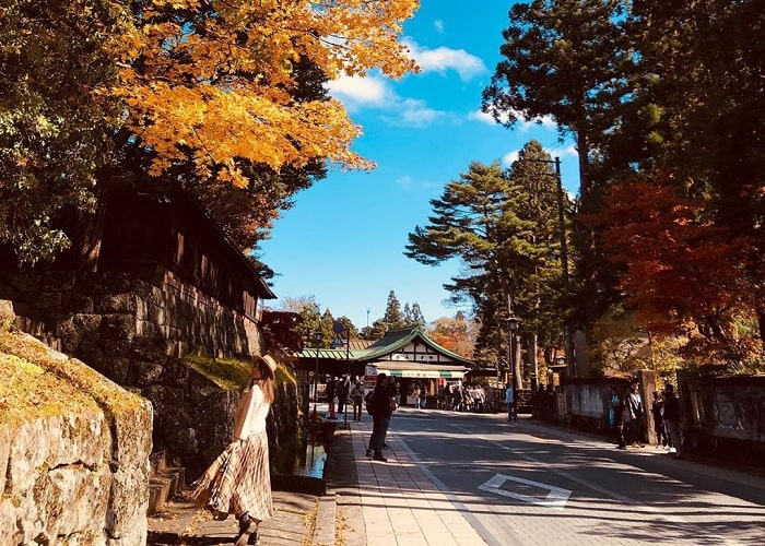 Giới Thiệu Về Nikko