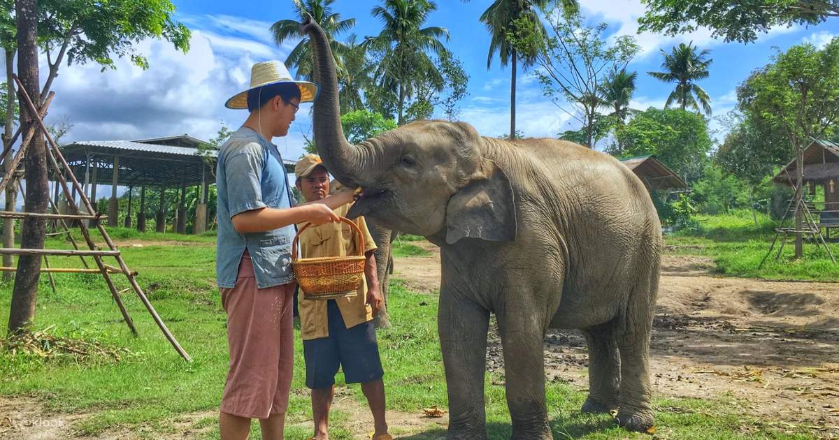 Elephant Nature Park