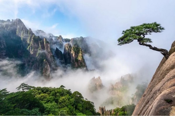 Giới Thiệu Núi Hoàng Sơn