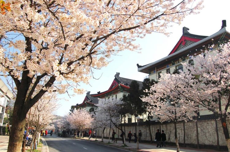 Trang Trí Nhà Cửa Đón Tết