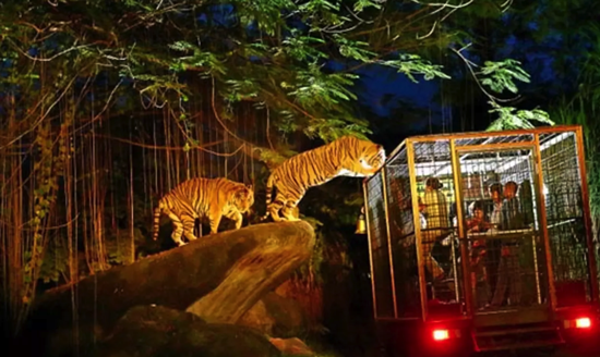 Các Đặc Điểm Nổi Bật Của Night Safari Singapore