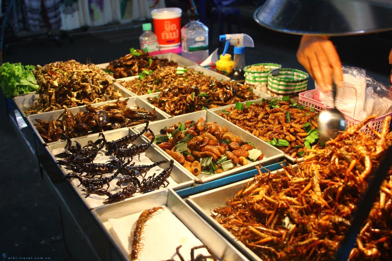 Roti – Bánh Pancake Kiểu Thái