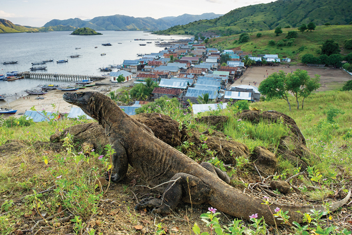 Làm Thế Nào Để Đến Đảo Komodo