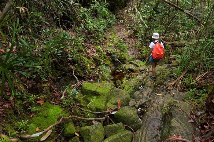 Những Điểm Đến Nổi Bật Tại Borneo