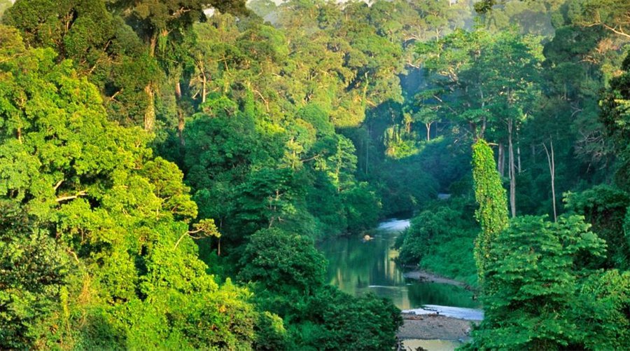 Giới Thiệu Về Đảo Borneo