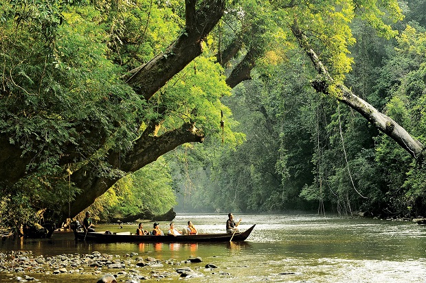 Tổng Quan Về Taman Negara