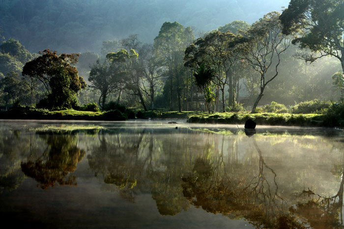 Cảnh Quan Đặc Sắc Tại Gunung Mulu