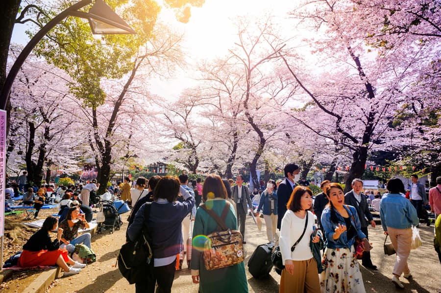 Tổng Quan Về Công Viên Hoa Hồng Shinjuku Gyoen