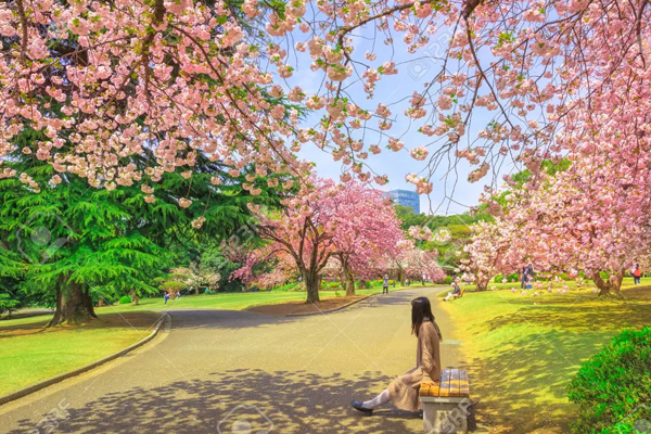 Các Khu Vực Khác Của Công Viên Shinjuku Gyoen