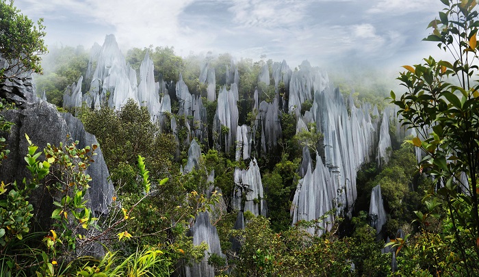 Giới Thiệu Về Vườn Quốc Gia Gunung Mulu