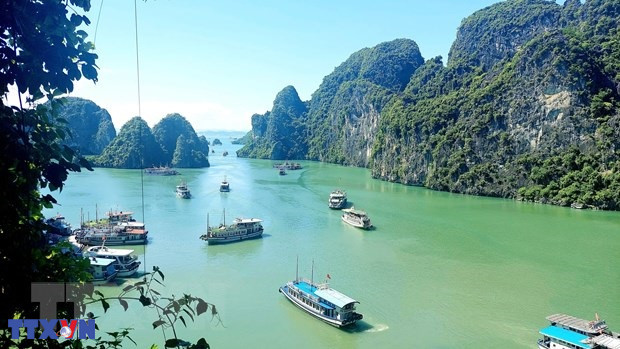 Tại sao Fjords Na Uy được ví như Vịnh Hạ Long của châu Âu?