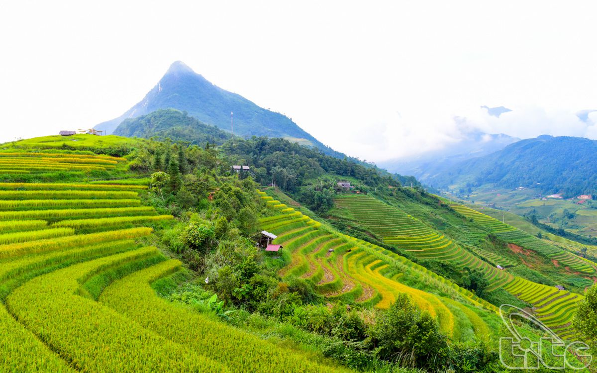 Trekking Kon Tum - Vùng đất của những cánh rừng nguyên sinh