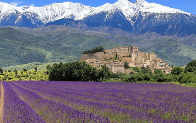 Ẩm thực và đặc sản vùng Provence