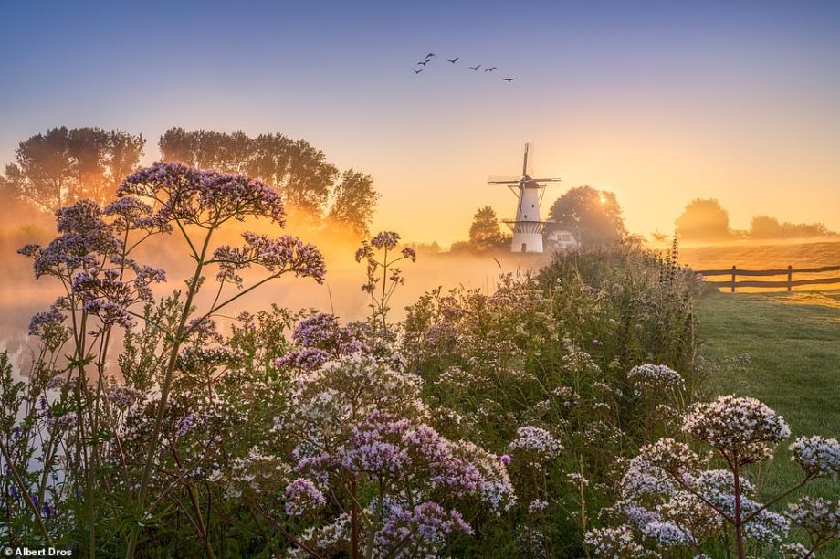 Kinderdijk – Di sản thế giới UNESCO