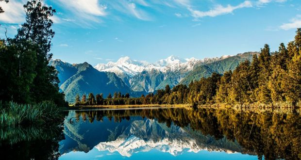 Những trang trại hữu cơ hàng đầu tại New Zealand