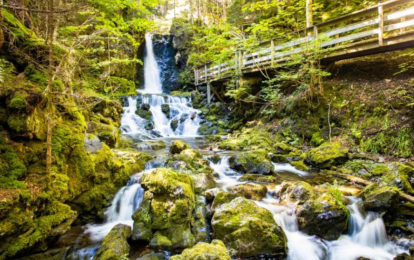 Lịch trình tour khám phá các công viên quốc gia tại Canada (10 ngày 9 đêm)