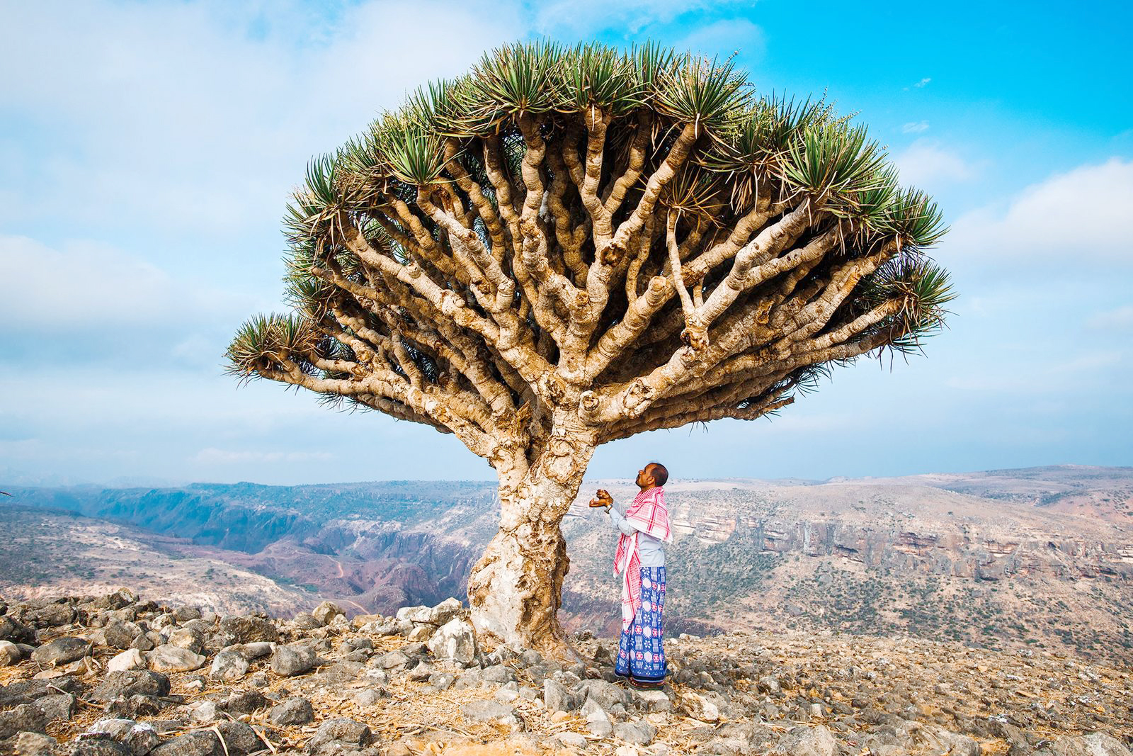 Cách di chuyển đến biển đảo Yemen