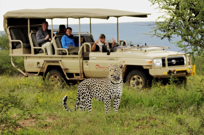 Safari ở Tanzania: Đảo Ngọc Safari và Kilimanjaro