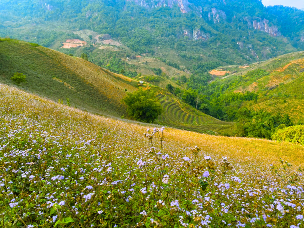 Tour Leo Núi Jade (Ngọc Sơn) – Đài Loan