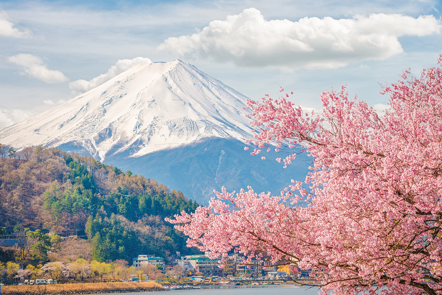 Ẩm Thực Kyoto Trong Mùa Hoa Anh Đào