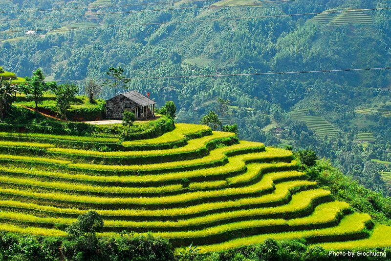 Lịch Trình Tour Du Lịch Hà Giang 4 Ngày 3 Đêm