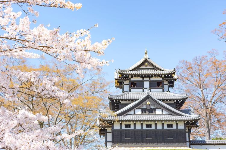 Công viên Maruyama (Kyoto)