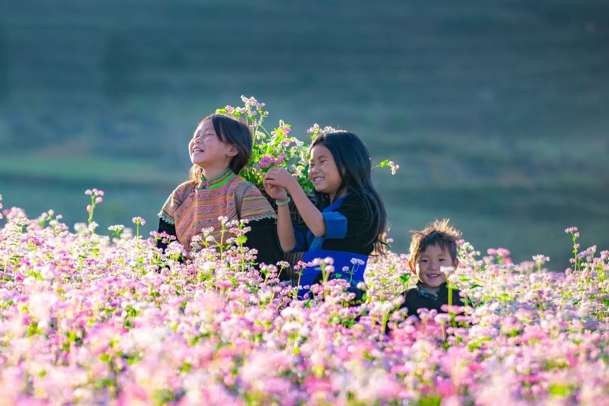 Hoạt động trải nghiệm thú vị khi ngắm hoa tam giác mạch