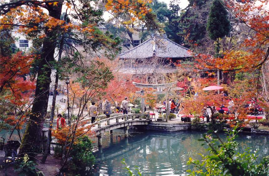 Thời điểm lý tưởng để du lịch Kyoto