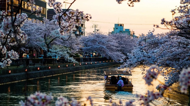 Lưu ý khi du lịch Kyoto