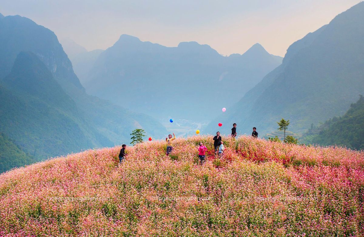 Chuyến Du Lịch Hà Nội - Hà Giang - Đồng Văn - Mèo Vạc - Thác Bản Giốc ...